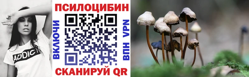 магазин продажи наркотиков  Семикаракорск  Галлюциногенные грибы Psilocybine cubensis 